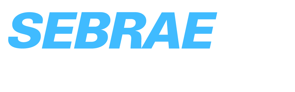 Logo Sebrae Conecta