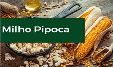 Milho de Pipoca - Popcorn