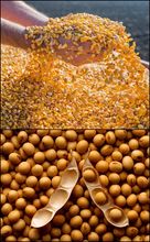 Ofertas de Commodities