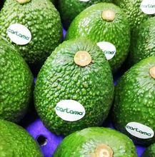 Aguacate Hass y sus derivados