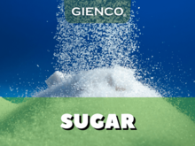 GIENCO SUGAR SUPPLY ICUMSA 45 BRAZIL