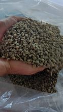 Specialty Arabica Coffee Beans from Brazil's Cerrado Mineiro - 85+ Points