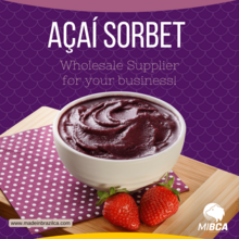 SORVETE DE AÇAÍ - DO BRASIL - 10L