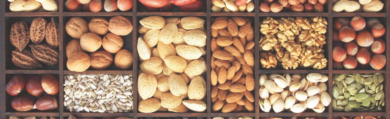 Fornecedores, Fabricantes e Vendedores de Amendoins, Castanhas e Nozes em Geral