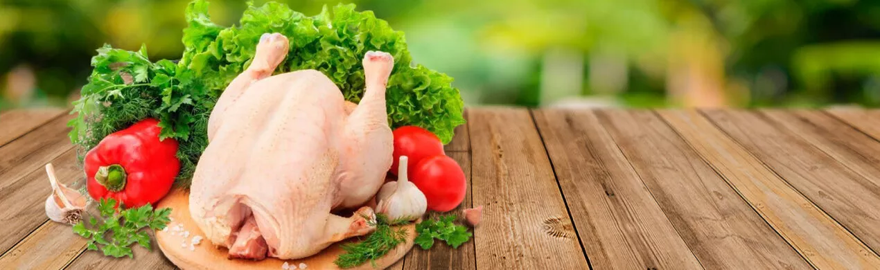 鸡供应商 - 批发家禽 - 巴西鸡批准进口到中国