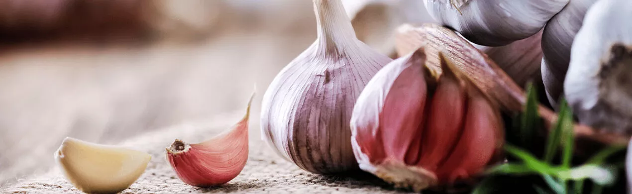 Proveedores de Ajo para Exportación e Importación