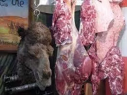 Carne De Camelo B2brazil