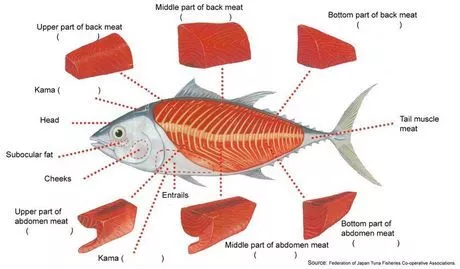 Powlowski Lynch And Macejkovic Peixe Halal Congelado E Cortes De Pecas Precos Bons Origem Russa Recem Congelado Peixes E Frutos Do Mar B2brazil