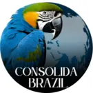 consolidabrazil