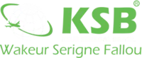 ksbcomimportexport
