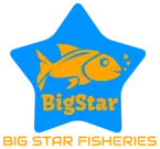 bigstarfisheries