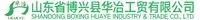shandongboxing2