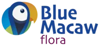 bluemacawflorainde