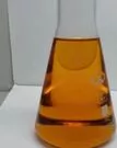 exgspgmbh2