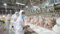 agrosupersa