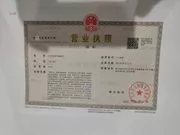 danickpowerlimited2
