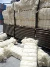 agroglobalcomltd