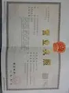 handandelante2