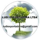 ludi