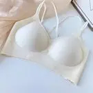 shantouswsw