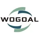 shandongwogoal2