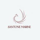 santonemarinefar