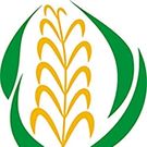 agriglobalexportli