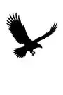 eagleof