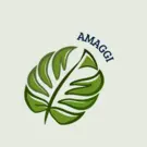 amaggi2
