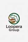 looperagroupllc