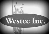 westecconsulting