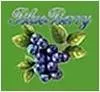 blueberryimpexc