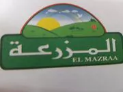 elmazraa