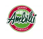 ambiluexport