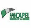 micapelmineraca