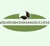 ervateiradamano