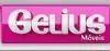 geliusindustria