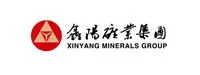 dandongxinyang