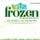 frozenfor