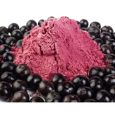 Organic Acai powder | B2USA