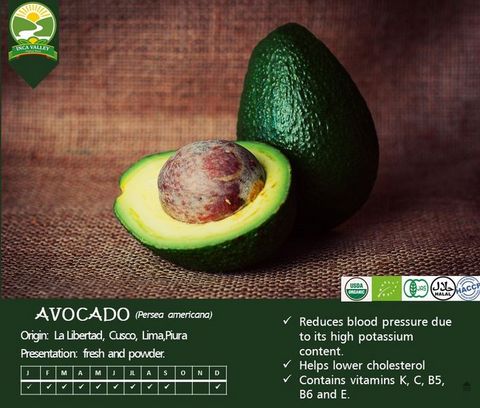 Hass avocado - Aguacate Hass - Palta Hass | B2Mexico