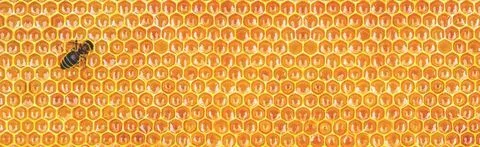 蜂蜜和蜂胶 - Honey