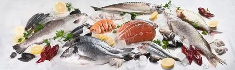 Proveedores de pescados y mariscos por mayor