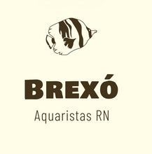 Brexó dos Aquaristas 