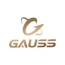 Shanghai Guss Industry Co.,Ltd