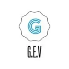 G.E.V Comercio e Consultoria Empresarial Eireli