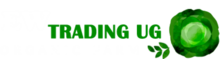 EW TRADING UG