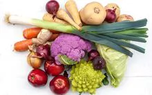 COFFE OFFICE CONCEITO   