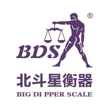 SHENZHEN BIG DIPPER SCALE CO.,LTD