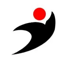 Shanghai Youngjet Precision Machinery Co.,Ltd